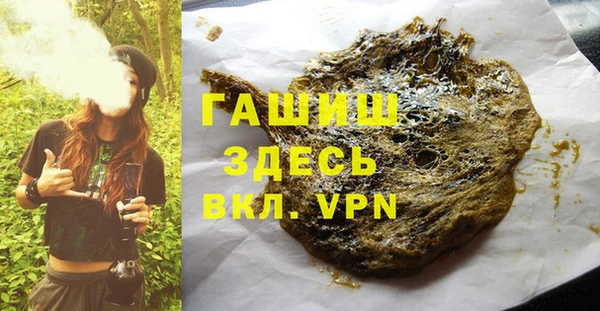 индика Бронницы