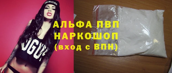индика Бронницы
