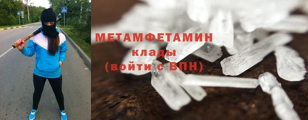 индика Бронницы