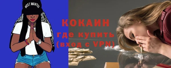 индика Бронницы