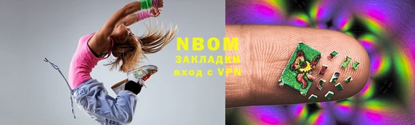 индика Бронницы