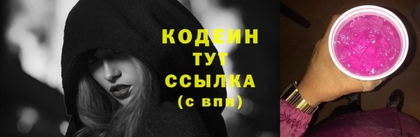 индика Бронницы