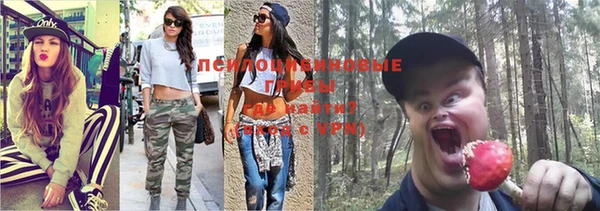 индика Бронницы