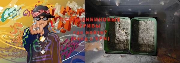 индика Бронницы