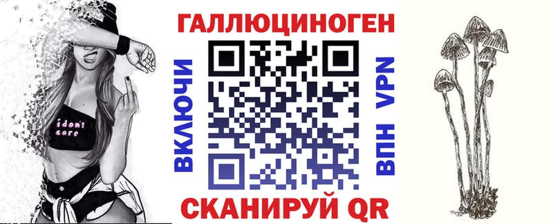 где можно купить   Мещовск  Галлюциногенные грибы мухоморы 